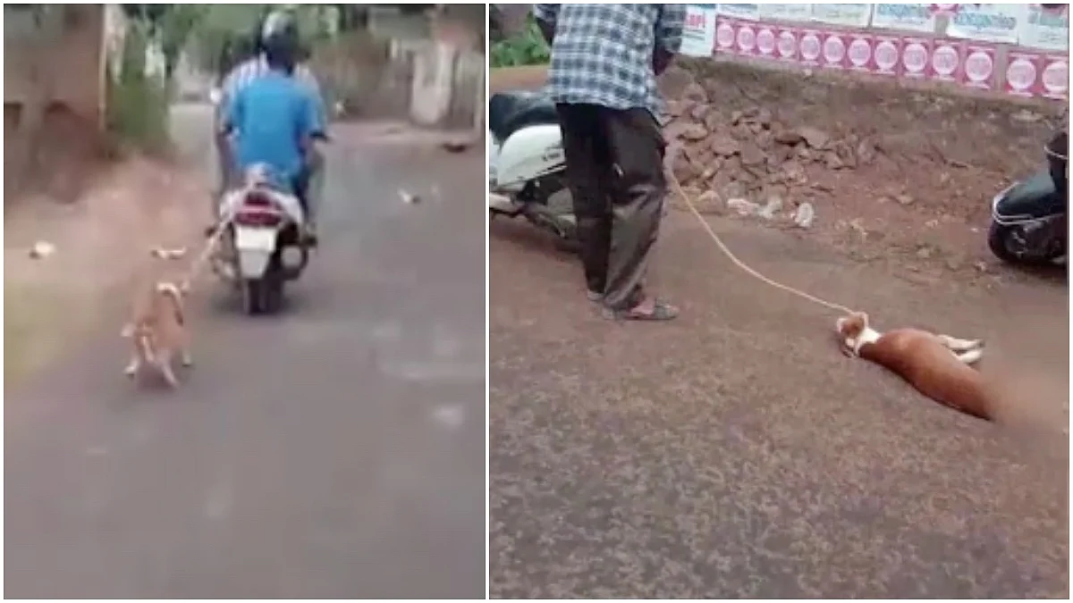 നായയെ സ്കൂട്ടറിന് പിന്നിൽ കെട്ടിവലിച്ച് വീണ്ടും ക്രൂരത, നാട്ടുകാർ ഇടപെട്ട് രക്ഷിച്ചു