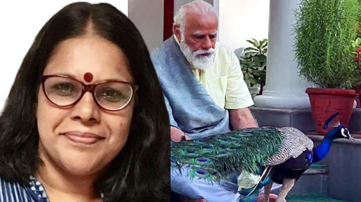 പടനായകന് യുദ്ധം മടുത്തു, അദ്ദേഹം ഇനി മയിലുകൾക്കിടയിലേക്കും യോഗയിലേക്കും തിരികെപ്പോകും...