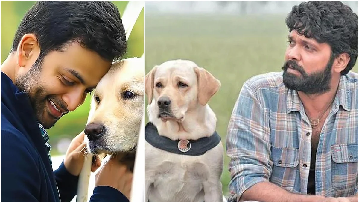 രക്ഷിത് ഷെട്ടിയുടെ 777 ചാര്ളിയുമായി പൃഥ്വിരാജ് പ്രൊഡക്ഷന്സ്, അത്രമേല് സന്തോഷമെന്ന് പൃഥ്വിരാജ്