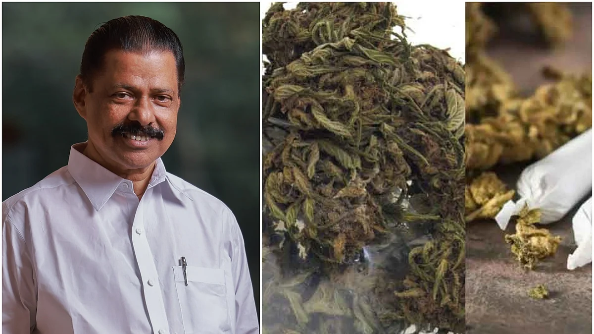 2021ല് ഇതുവരെ പിടിച്ചത് 4414.4 കിലോ കഞ്ചാവും,14.869 കിലോ ഹാഷിഷും 10180.6ലിറ്റര് ചാരായവുമെന്ന് മന്ത്രി എം.വി ഗോവിന്ദന്