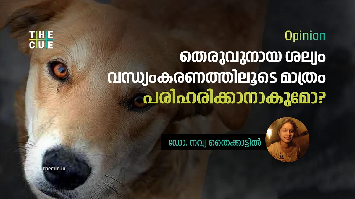 തെരുവുനായ ശല്യം വന്ധ്യംകരണത്തിലൂടെ മാത്രം പരിഹരിക്കാനാകുമോ?