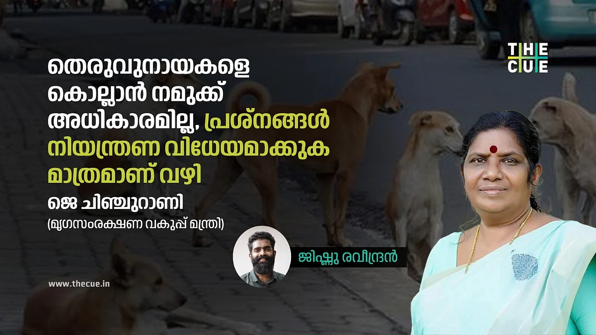തെരുവുനായകളെ കൊല്ലാൻ നമുക്ക് അധികാരമില്ല, പ്രശ്നങ്ങൾ നിയന്ത്രണ വിധേയമാക്കുക മാത്രമാണ് വഴി