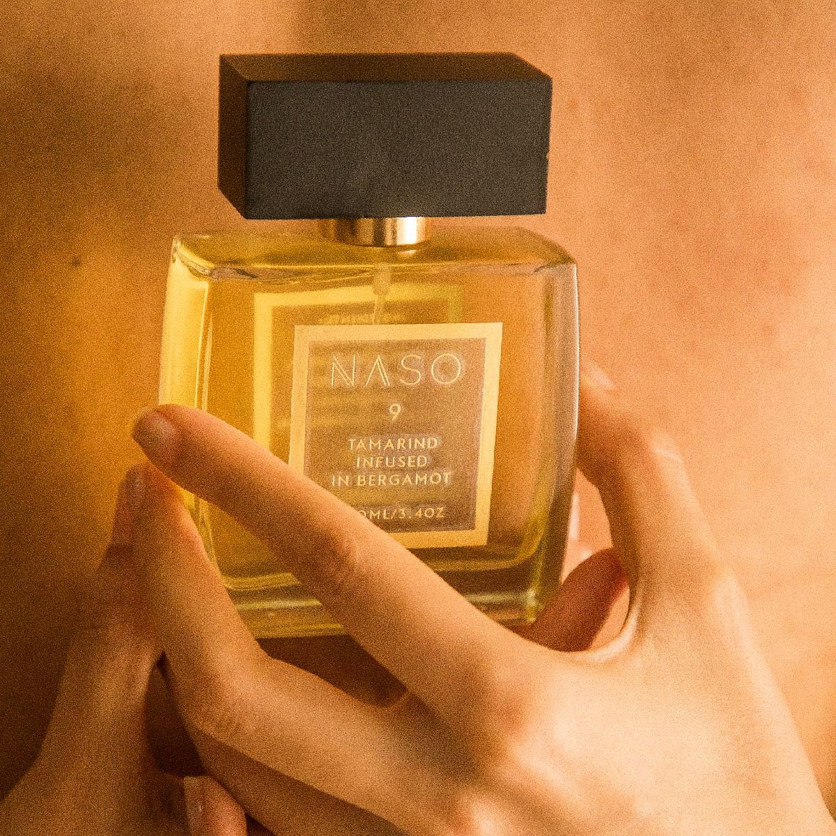 The Established Style, Self, Culture, Community Voice of a new