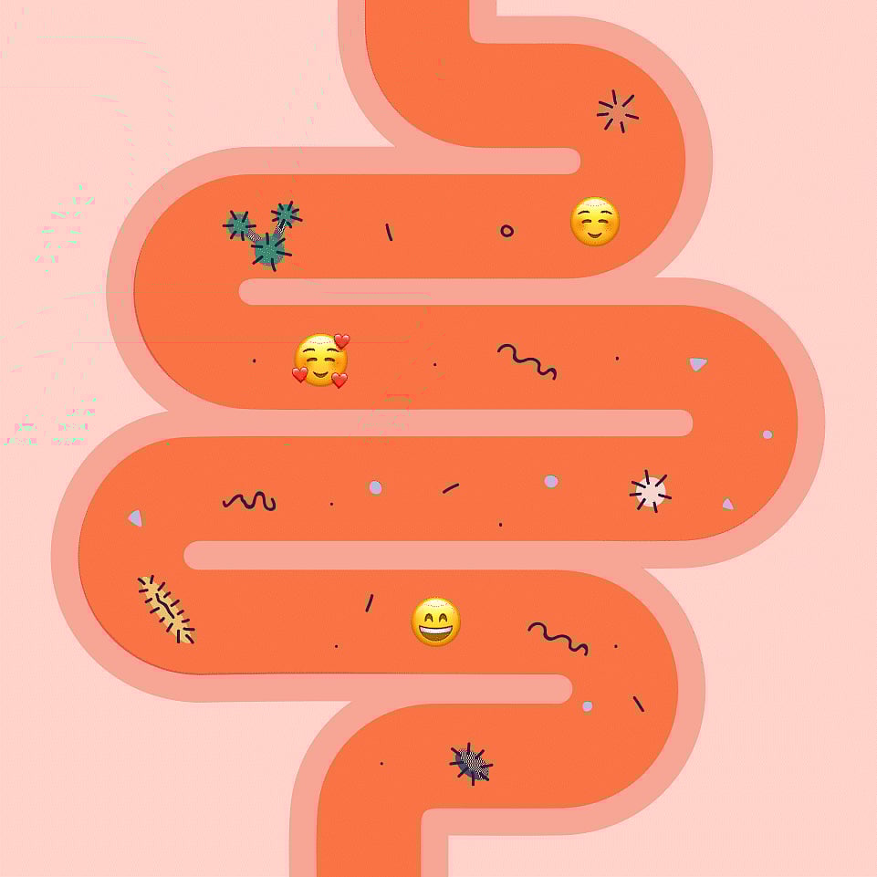 The Established Style, Self, Culture, Community Voice of a new