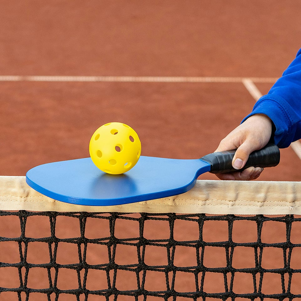 Pickleball The rising craze in India's sports scene The Established