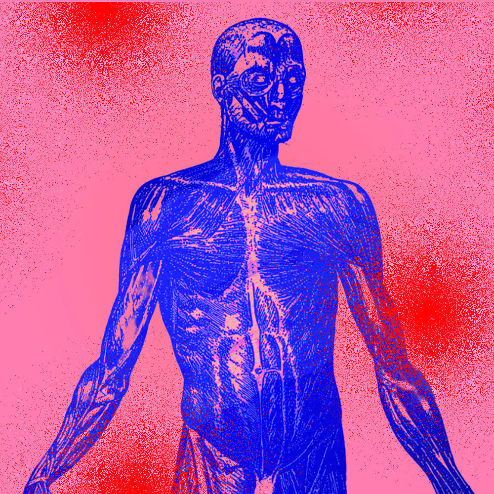 The causes of inflammation in the body aren’t limited to the food we ...