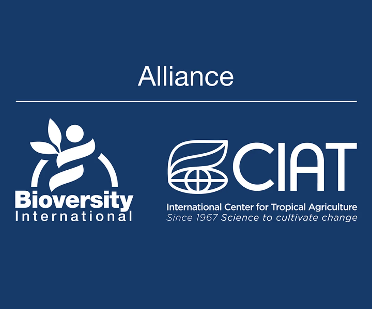 Legal Jobs: Senior Legal Associate, International Center for Tropical Agriculture