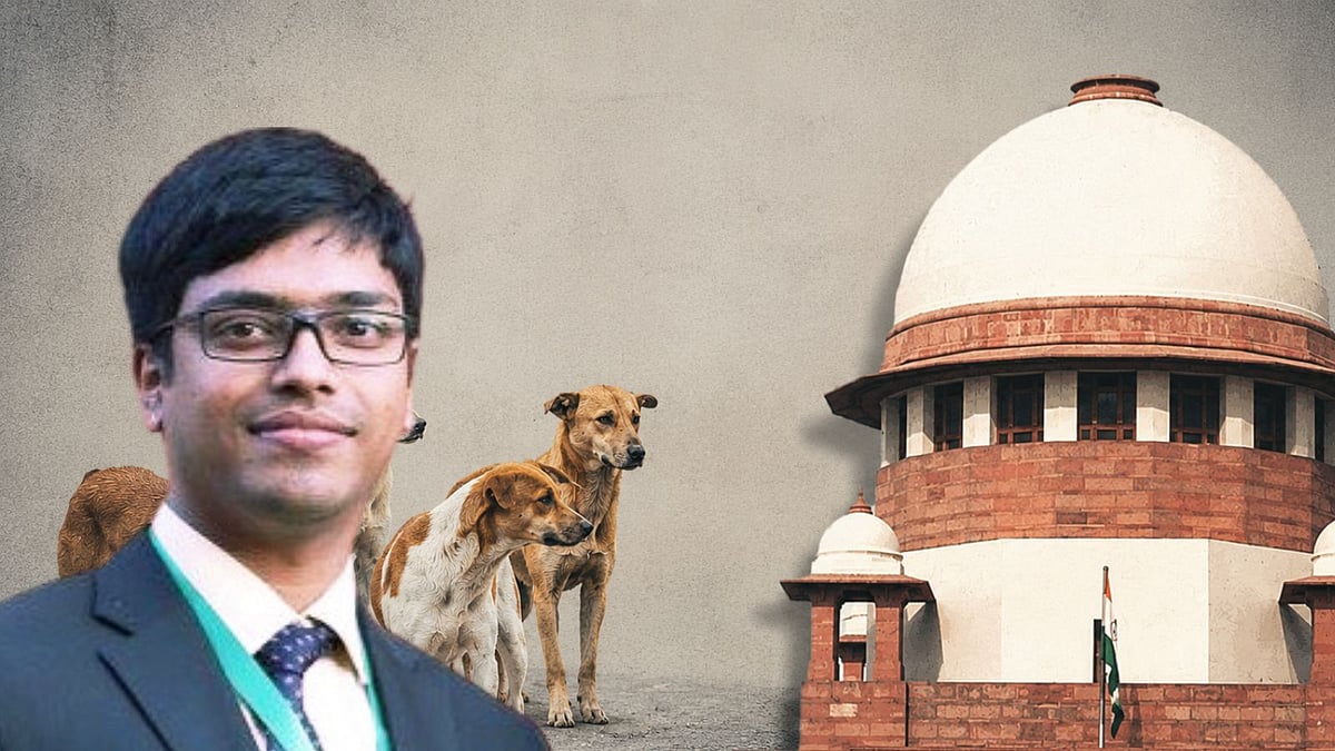 ‘Supreme Court’s stray dogs judgment tried to solve a public health problem by declaring war on a species’, animal law expert Vivek Mukherjee notes