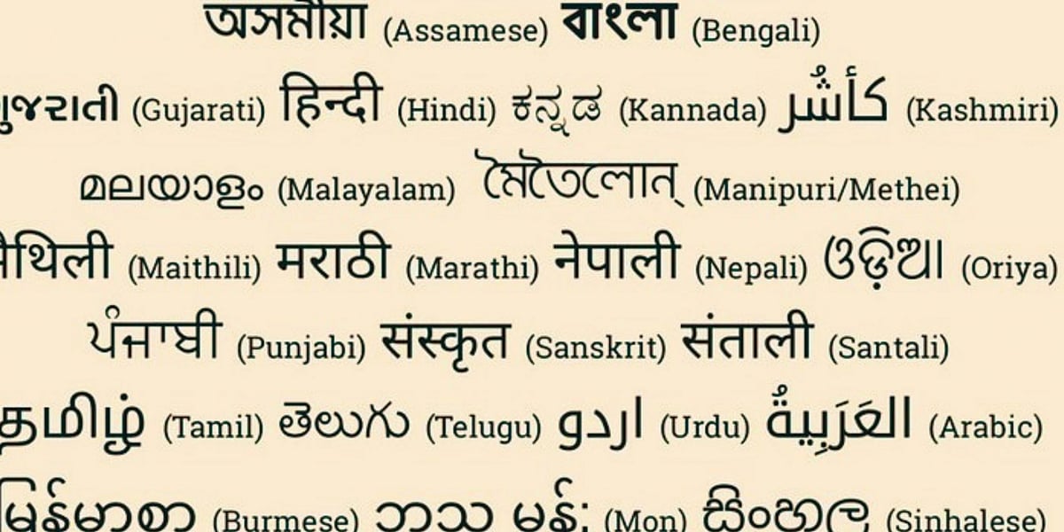 Celebrating multilingual India: Language rights in perspective