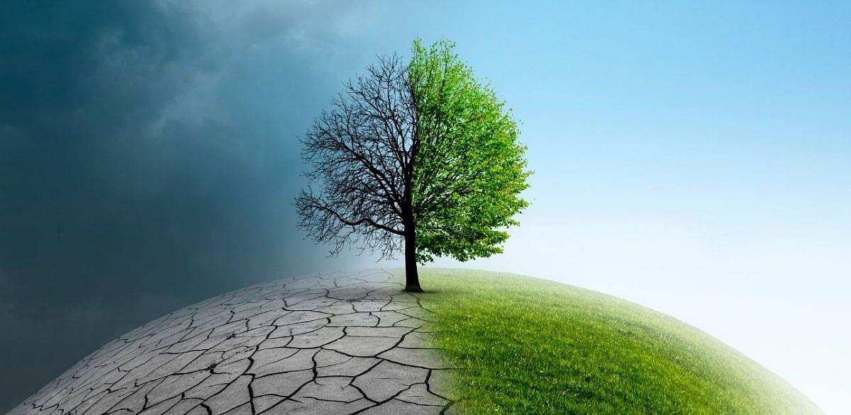 Climate change combat needs to prefer imaginative over evidence-based legal approach