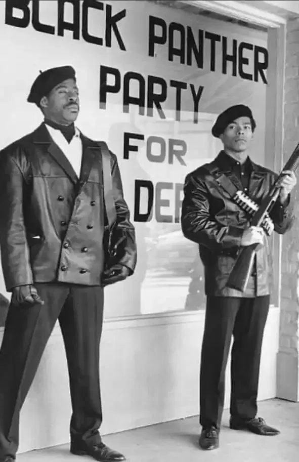 The Black Panther–Dalit Panther connection