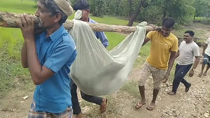 People carrying a patient from Jaitpur of Village Panchayat Vav of Alirajpur to the hospital with the help of a stick.