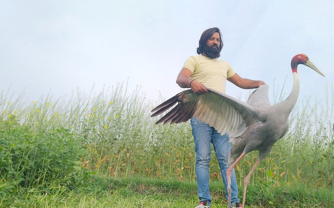 सारस पक्षी को अपने साथ रखने वाले आरिफ की बढ़ी मुश्किलें, FIR दर्ज, वन विभाग ने भेजा नोटिस Difficulties increased for Arif who kept the stork with him, FIR lodged, Forest Department sent notice