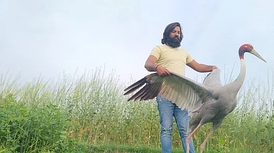 सारस पक्षी को अपने साथ रखने वाले आरिफ की बढ़ी मुश्किलें, FIR दर्ज, वन विभाग ने भेजा नोटिस Difficulties increased for Arif who kept the stork with him, FIR lodged, Forest Department sent notice