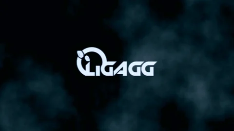 Créditos da imagem: LigaGG