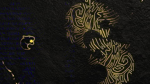 Créditos da imagem: FURIA