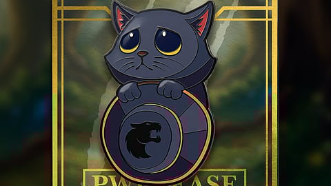 Créditos da imagem: FURIA