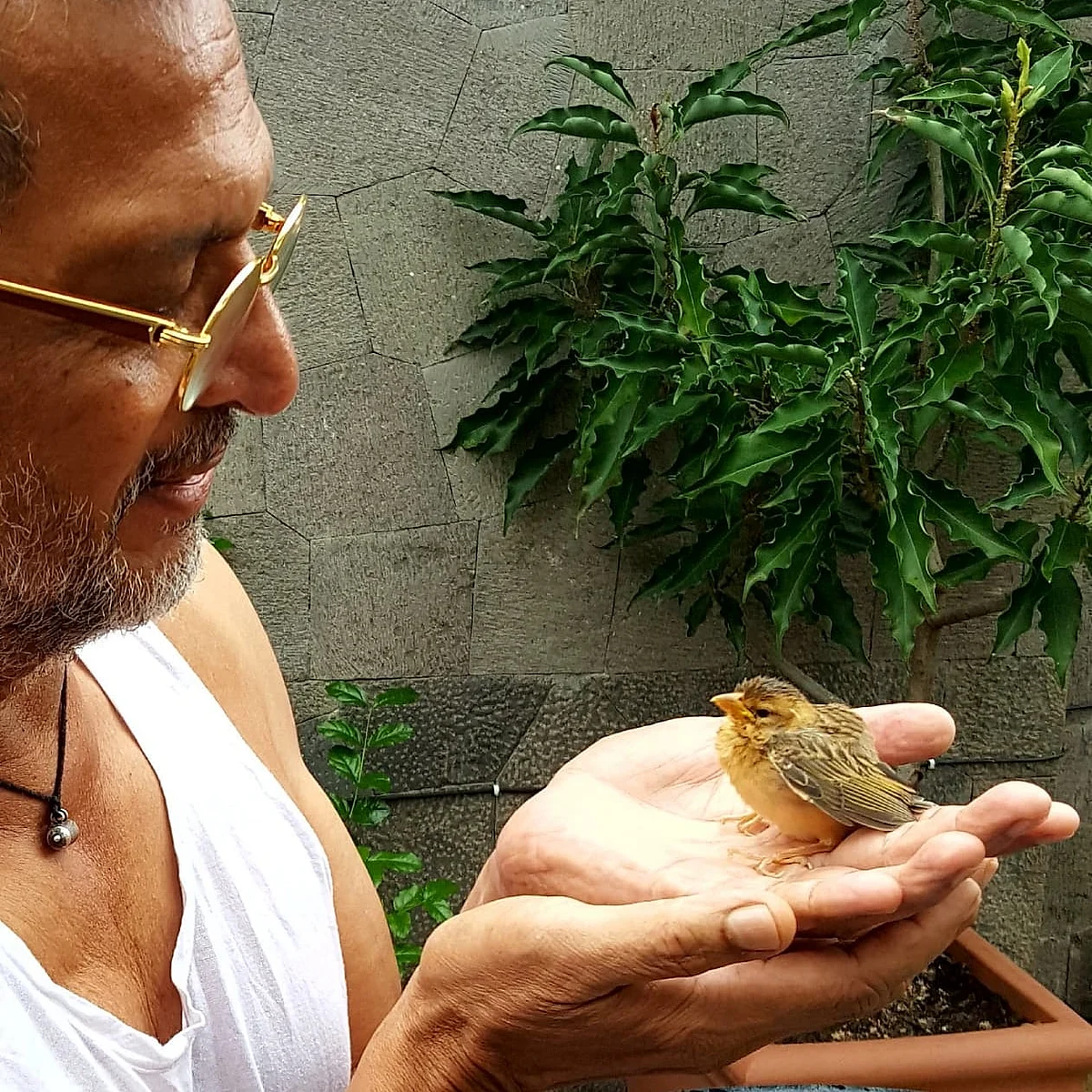 Nana Patekar Shares Cute Picture With Sparrow In Hands