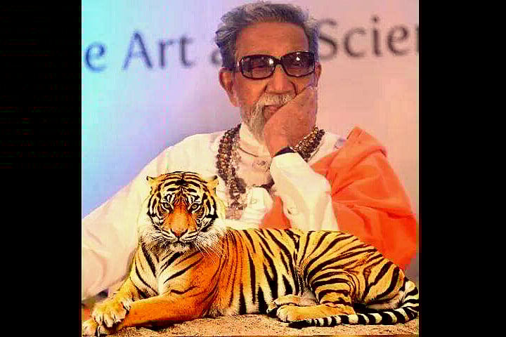 Meat ban Shiv Sainiks recognize double standards when they see it