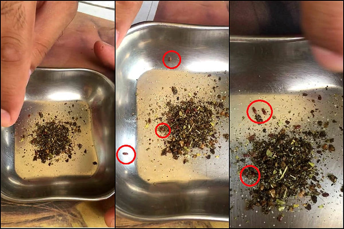 Watch: Delhi man finds live insects in Domino’s Pizza oregano seasoning ...