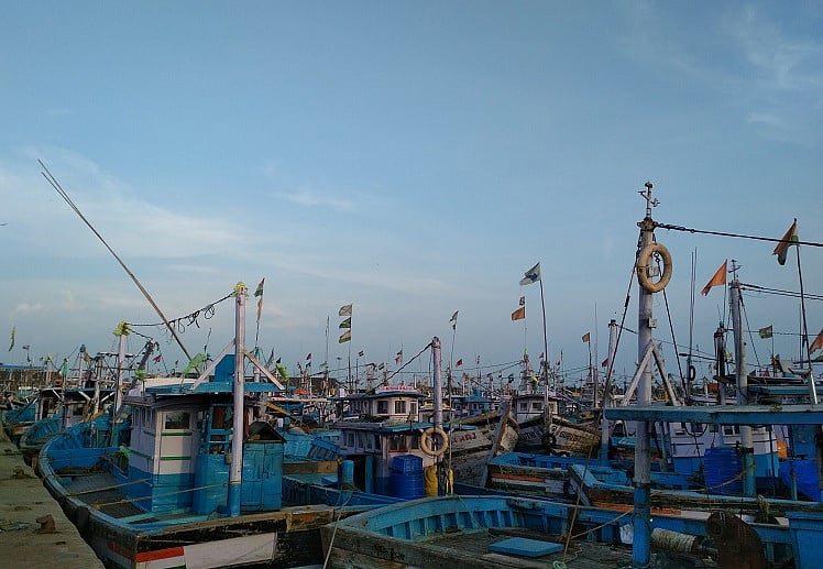 As lockdown rules prove impractical, fishers shut harbours in Kerala