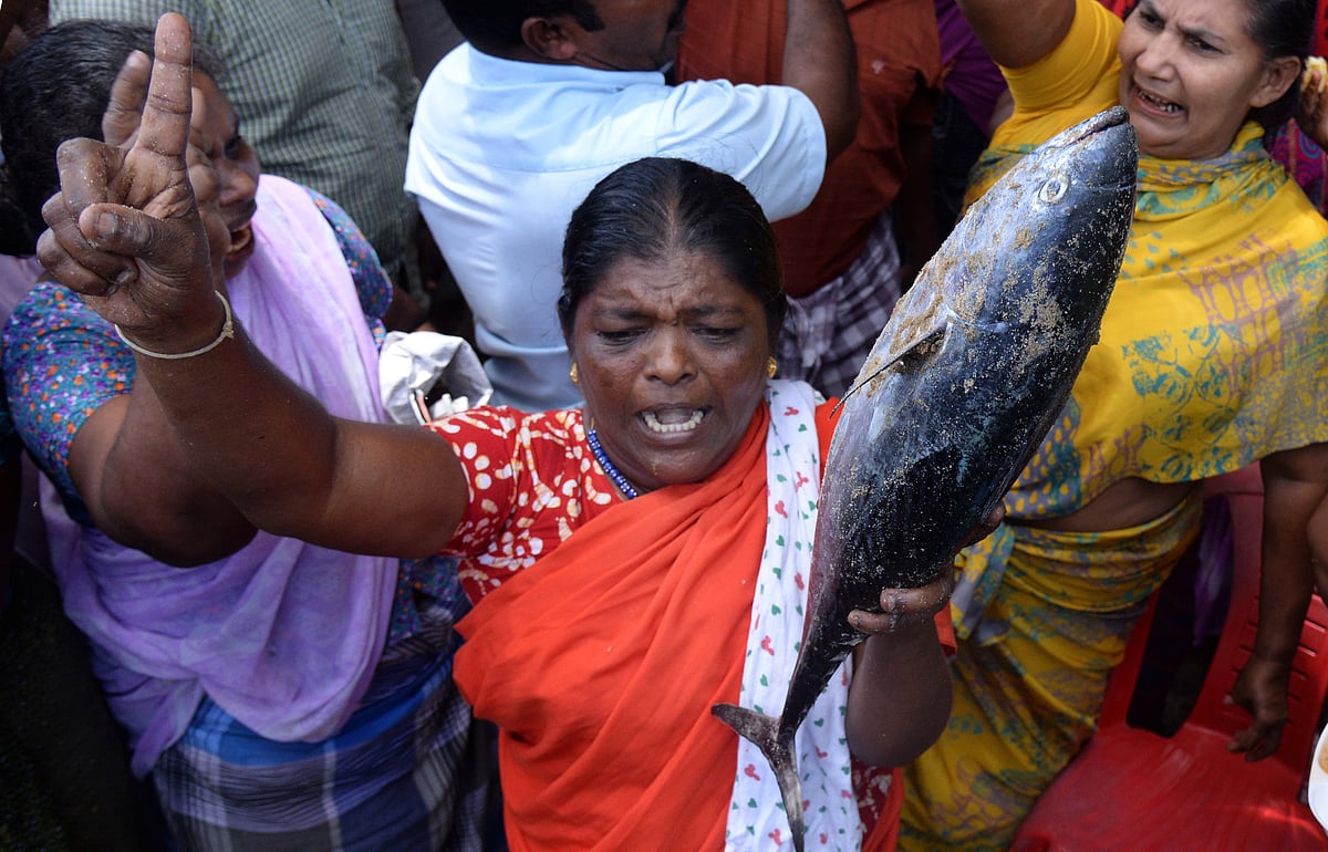 No formalin in our fish Kerala fisherfolk protest as discovery affects