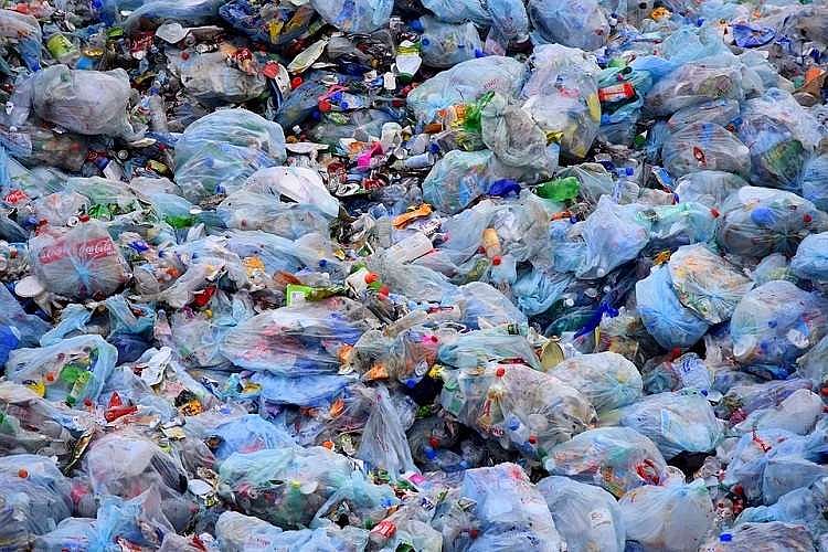 How plastics made from plants could be the answer to the world's waste