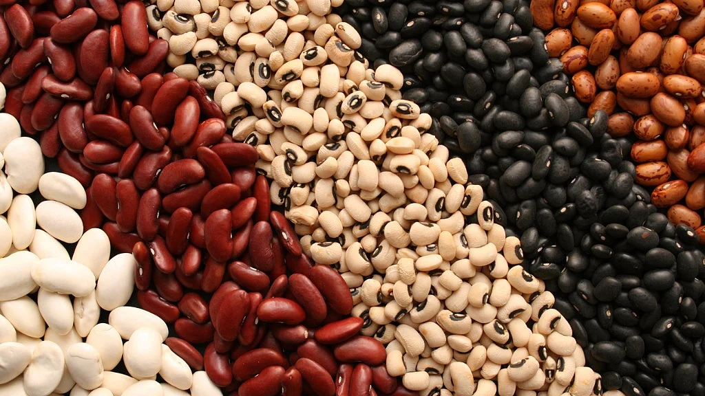 Beans must be included in the diet. 