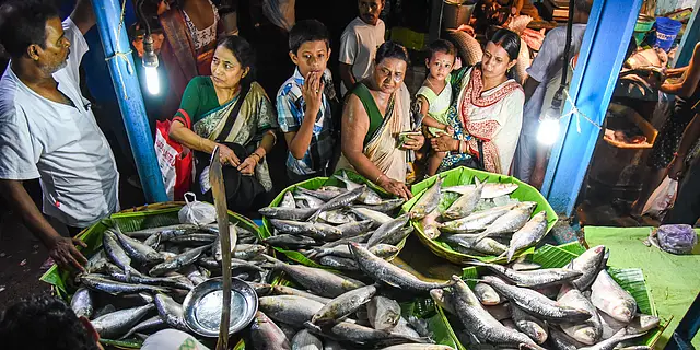 Huge quantities of hilsa fish have reached Kolkata market. Demand for hilsa in Bengali cuisine is always high.