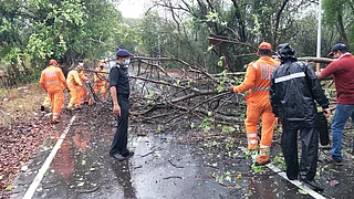 Mumbai Rain, Weather Forecast Today and Cyclone Nisarga Tracker ...