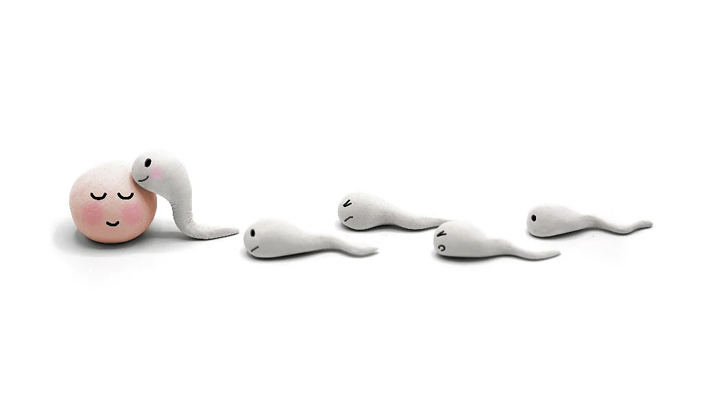 Air Pollution and Male Sperm Quality: Infertility affects 10 to 14 percent of the Indian population.