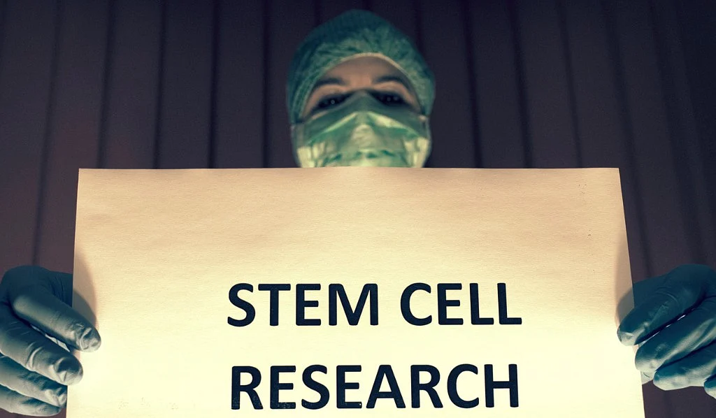 From Hair to Flesh: Is Stem Cell Therapy a Hope to Treat Diseases?