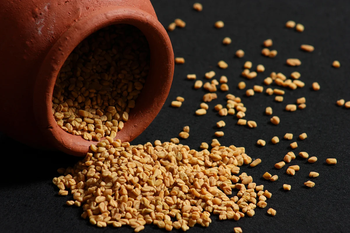 Fenugreek seeds help curb the appetite!