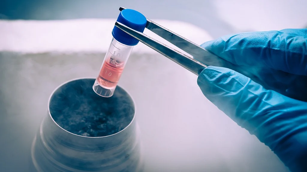 From Hair to Flesh: Is Stem Cell Therapy a Hope to Treat Diseases?