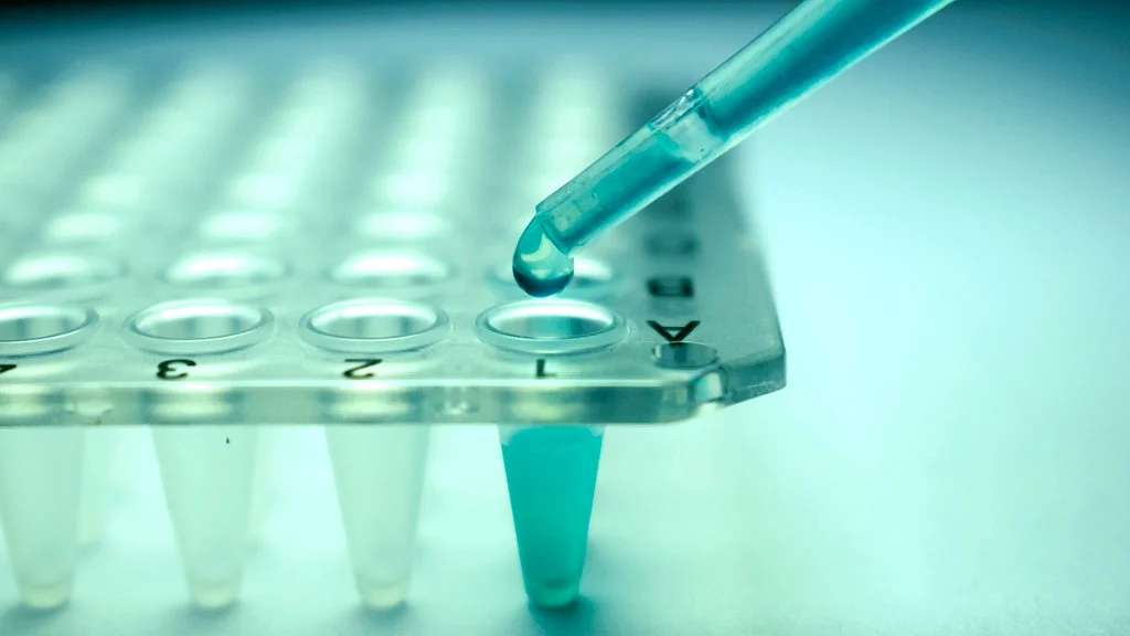 From Hair to Flesh: Is Stem Cell Therapy a Hope to Treat Diseases?