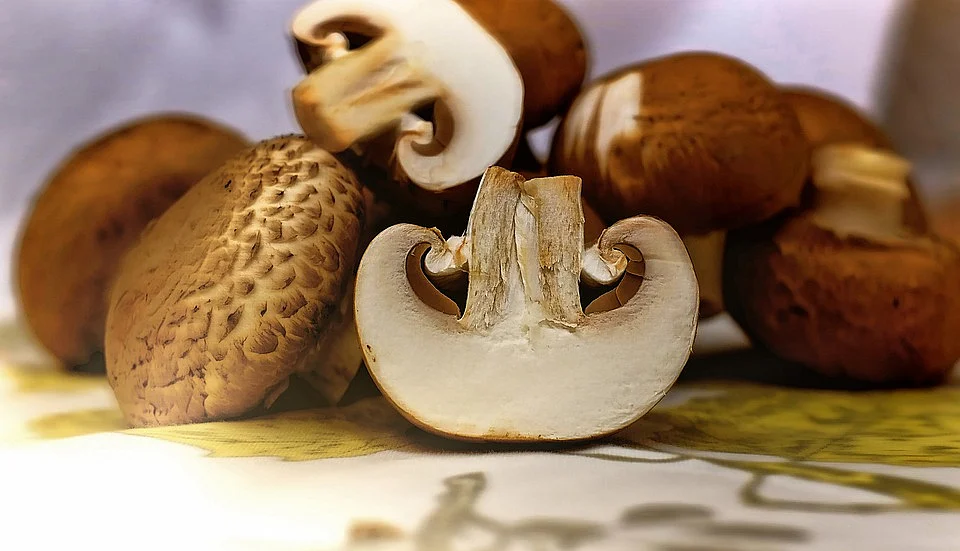 Mary Berry’s Simple Recipe for Double-Baked Mushroom Souffles