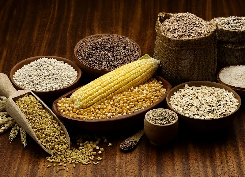 Government Approves Rs 107.42 Crore Grant For 28 Food Processing Projects