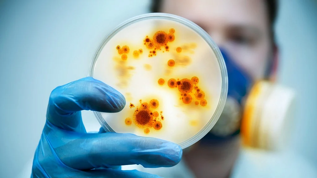 India is perhaps the worst abuser of antibiotics in the world.