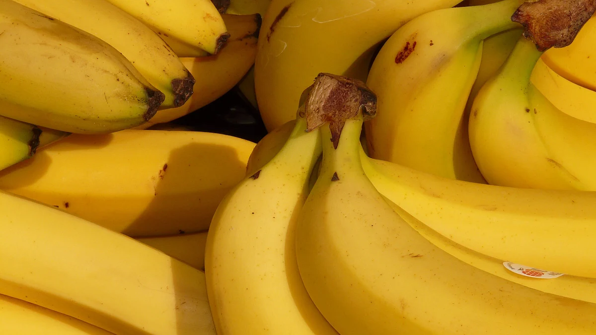 Bananas are rich sources of magnesium.