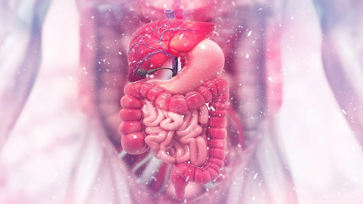In what ways does climate impact our digestion?