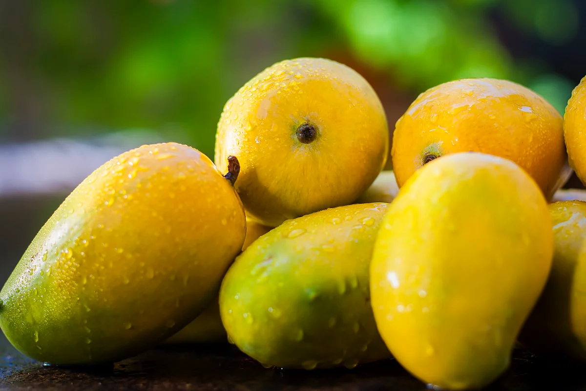 When we are the largest exporters of mangoes in the world, why are we shying away from them, asks Rujuta.
