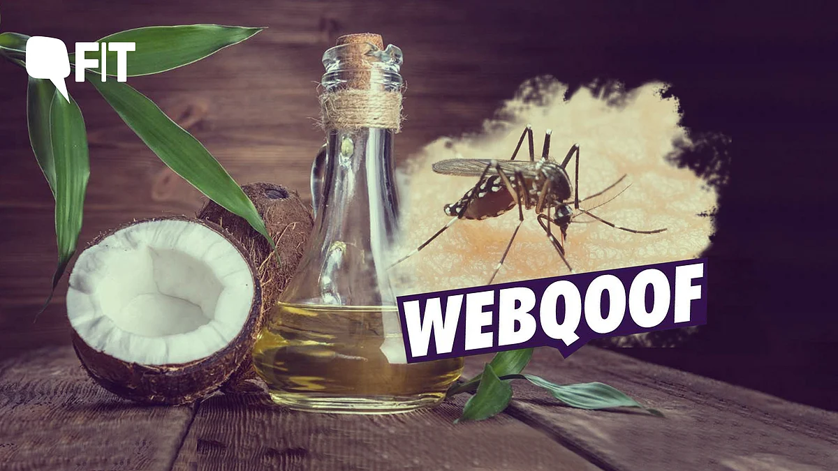 Coconut oil is hailed as a superfood but can it cure dengue? 
