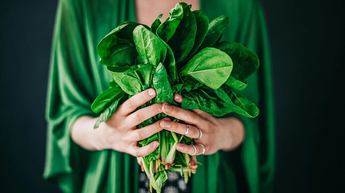 Iron rich foods helps combat memory loss and fatigue