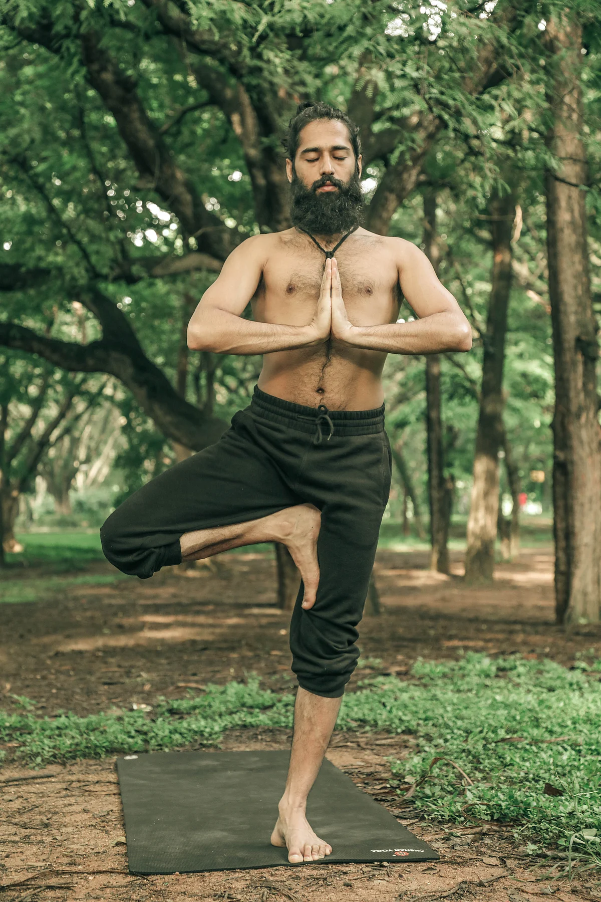Vrikshasana