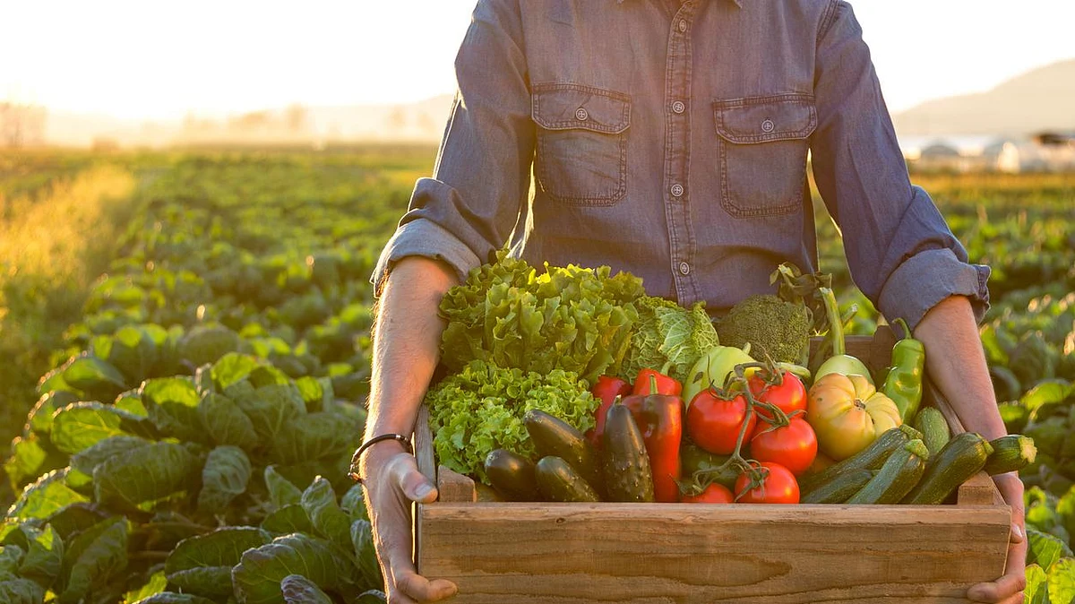 Local vendors also have organic fruits and vegetables with them.
