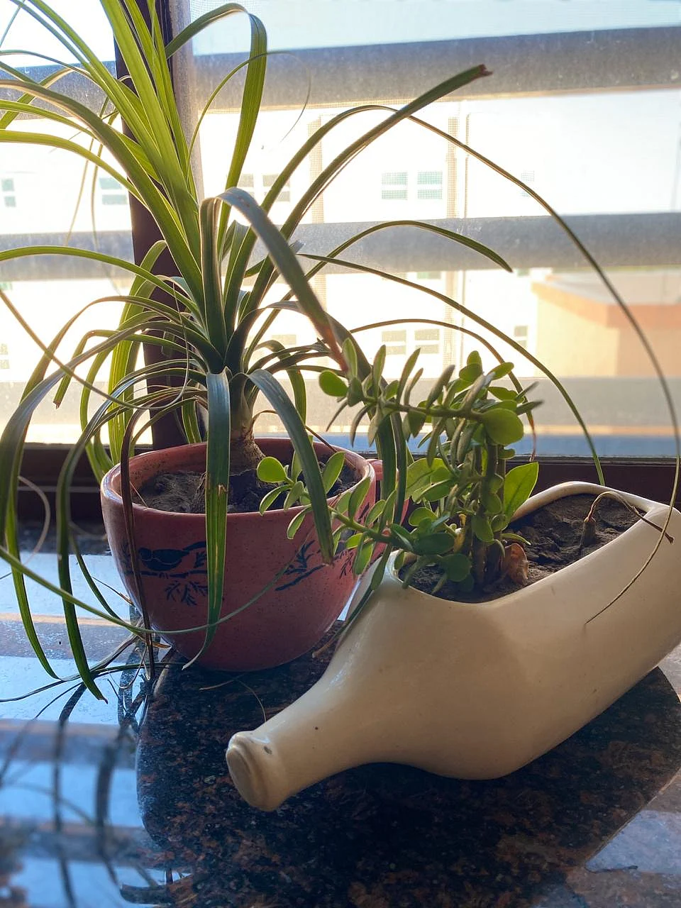 “Working with soil is a stress-busting activity in itself.”