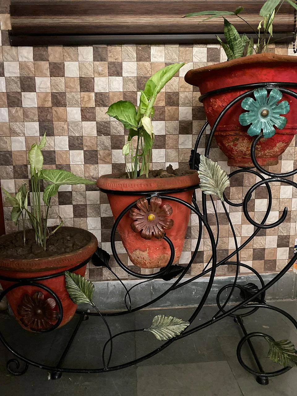 The predictable rhythm of the garden helps against the uncertainty and unpredictability of the times we are in.