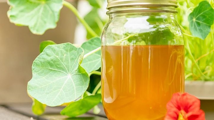 We delve deeper to understand the veracity of Kombucha’s other health benefit claims and analyse potential risks.