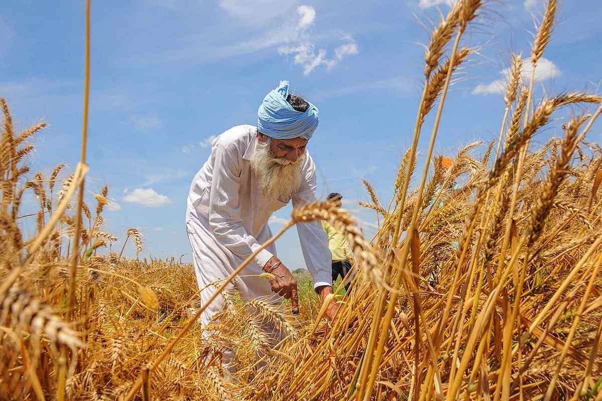 Centre hikes minimum price of 6 rabi crops amid protests against new farm bills