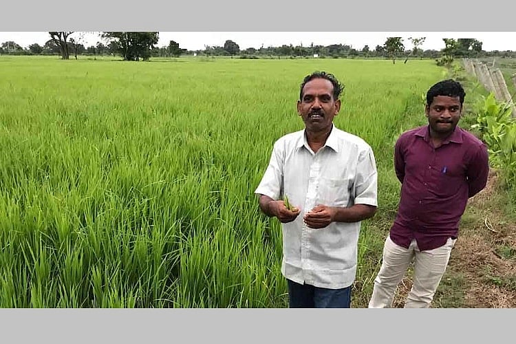 How coastal farmers in Tamil Nadu are tackling soil salinity with